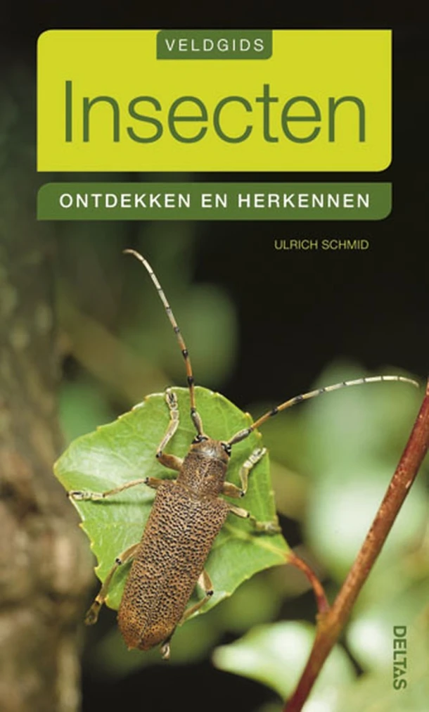 Insecten – Ulrich Schmid – boek cover