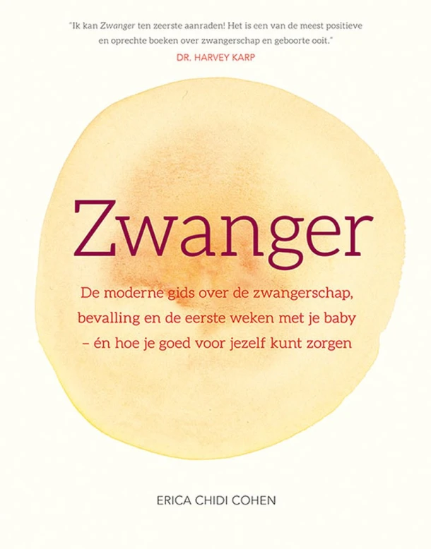 Zwanger – Erica Chidi Cohen – boek cover