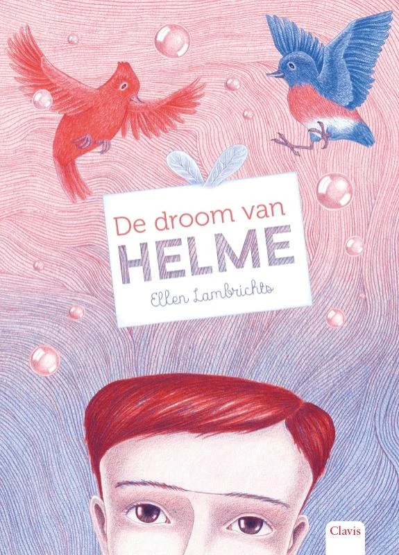 De droom van Helme – Ellen Lambrichts – boek cover