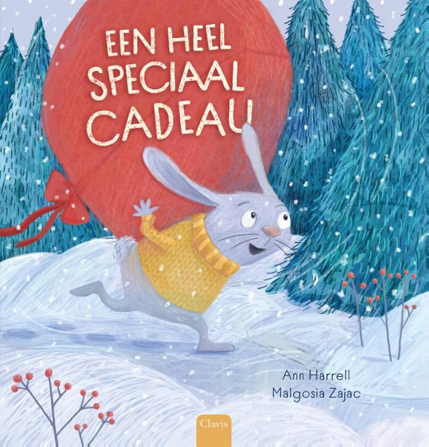 Een heel speciaal cadeau – Ann Harrell – boek cover