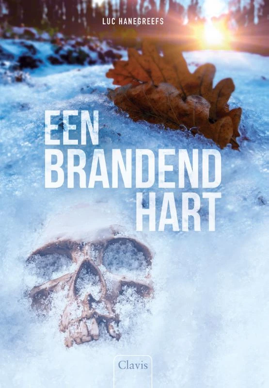 Een brandend hart – Luc Hanegreefs – boek cover
