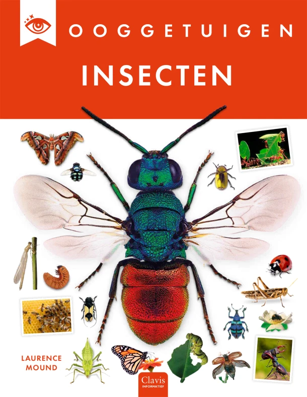 Insecten – Laurence Mound – boek cover