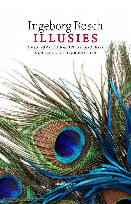 Illusies – Ingeborg Bosch – boek cover