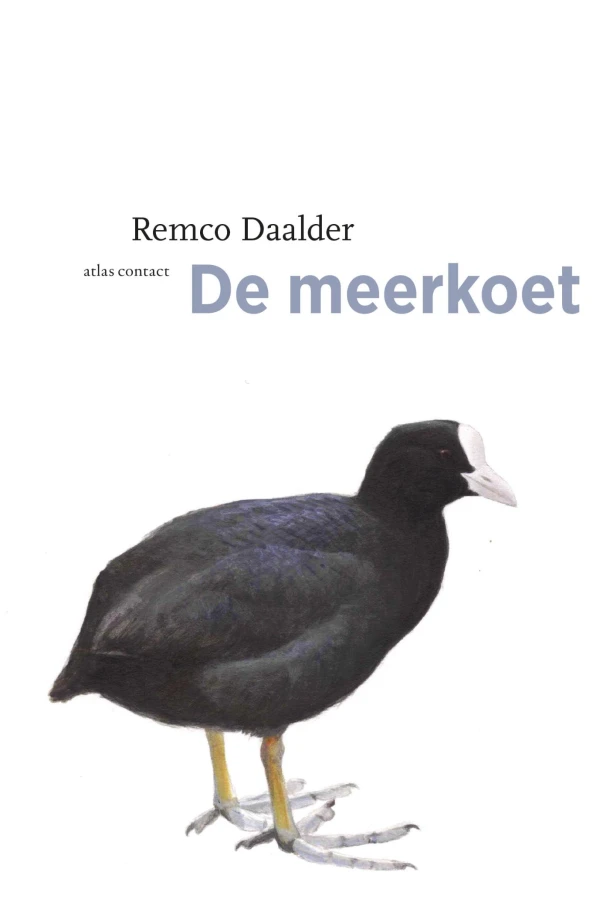 De meerkoet – Remco Daalder – boek cover