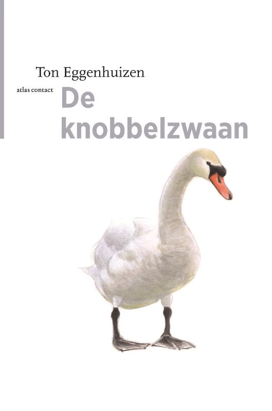De knobbelzwaan