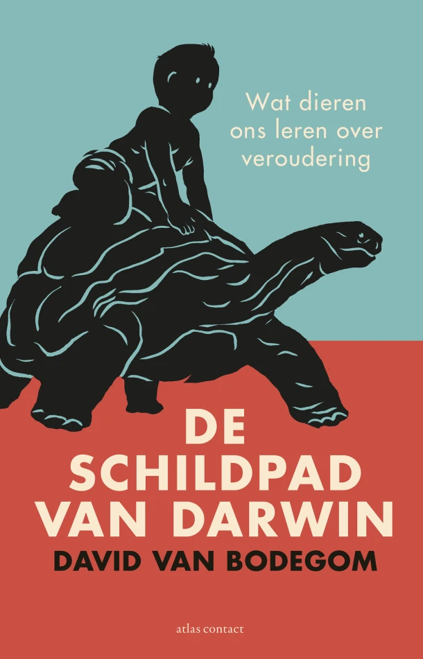Het geheim van de schildpad – David van Bodegom – boek cover