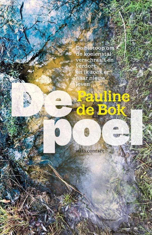 De poel – Pauline de Bok – boek cover
