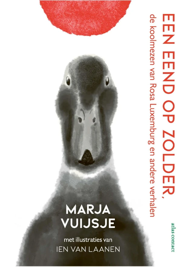 Een eend op zolder – Marja Vuijsje – boek cover