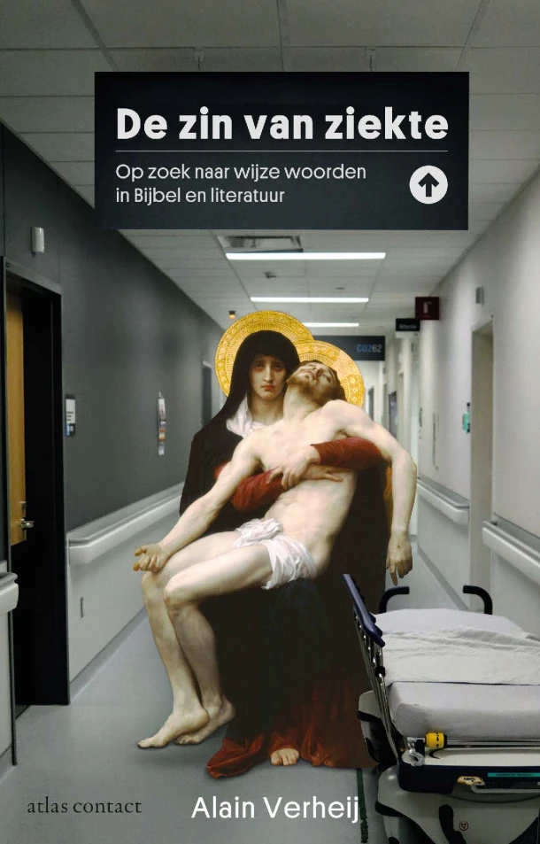 De zin van ziekte – Alain Verheij – boek cover