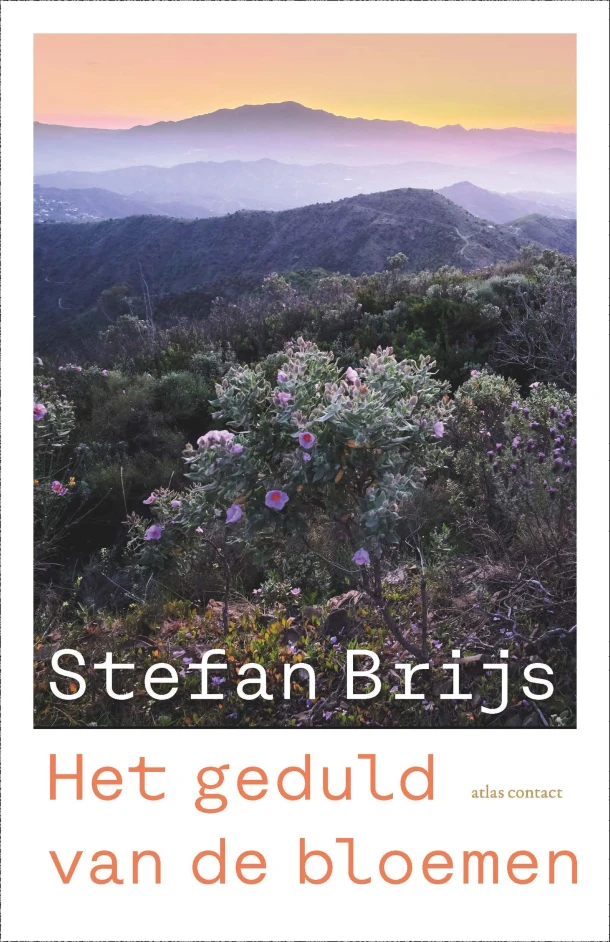 Het geduld van de bloemen – Stefan Brijs – boek cover