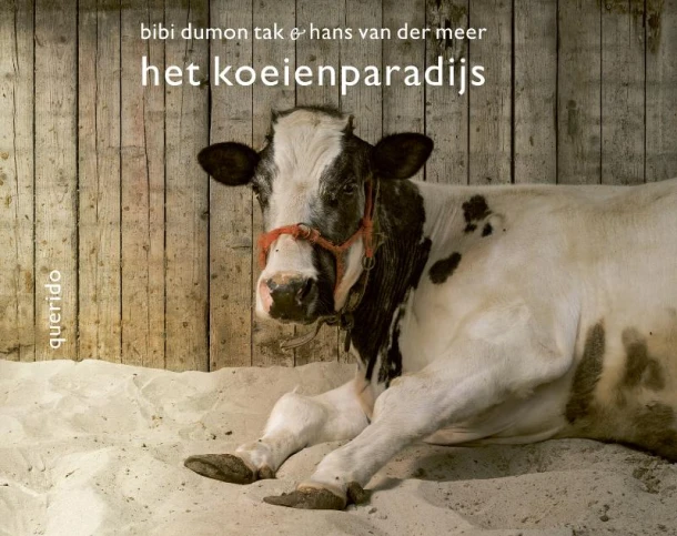 Het koeienparadijs – Bibi Dumon Tak – boek cover