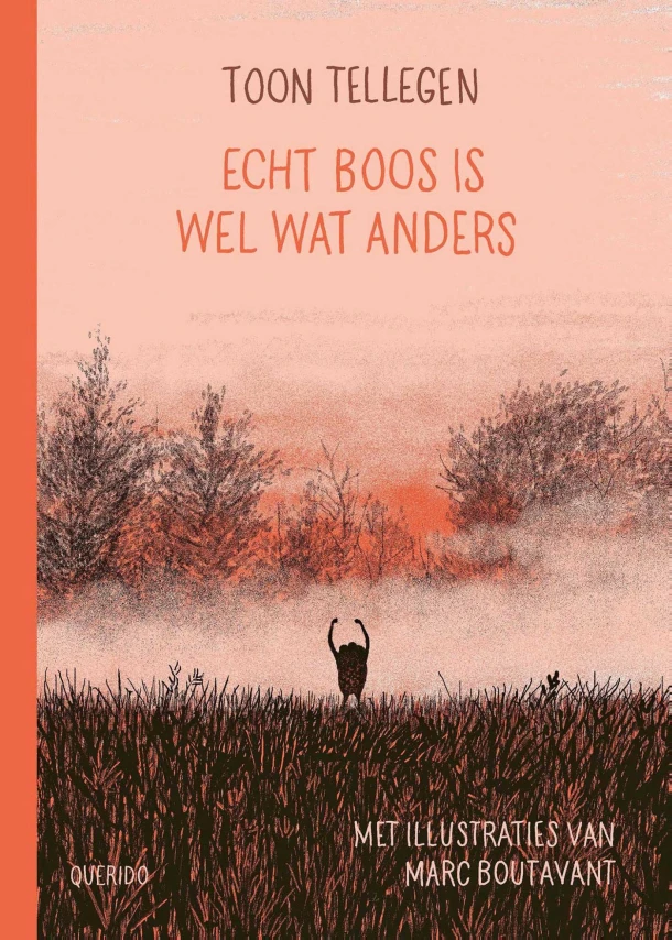 Echt boos is wel wat anders – Toon Tellegen – boek cover