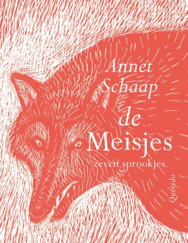 De meisjes – Annet Schaap – boek cover