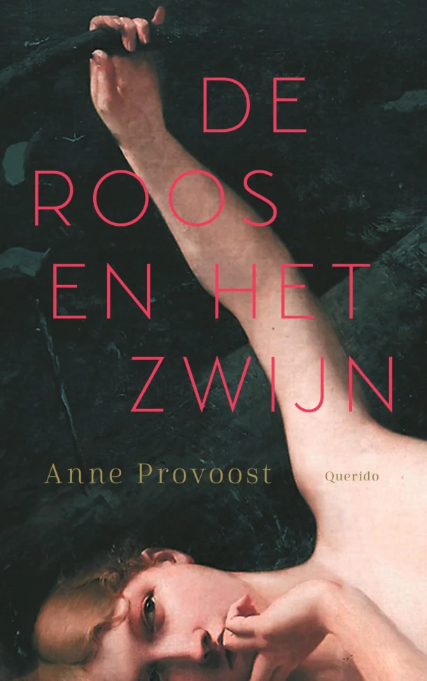 De Roos en het Zwijn – Anne Provoost – boek cover