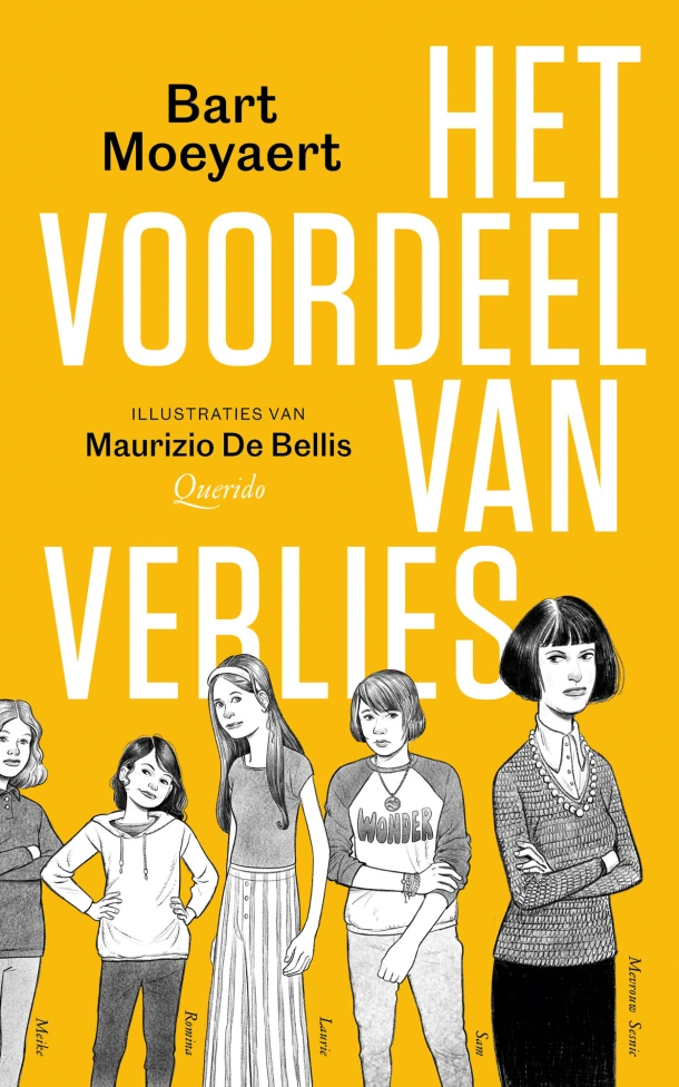 Het voordeel van verlies – Bart Moeyaert – boek cover