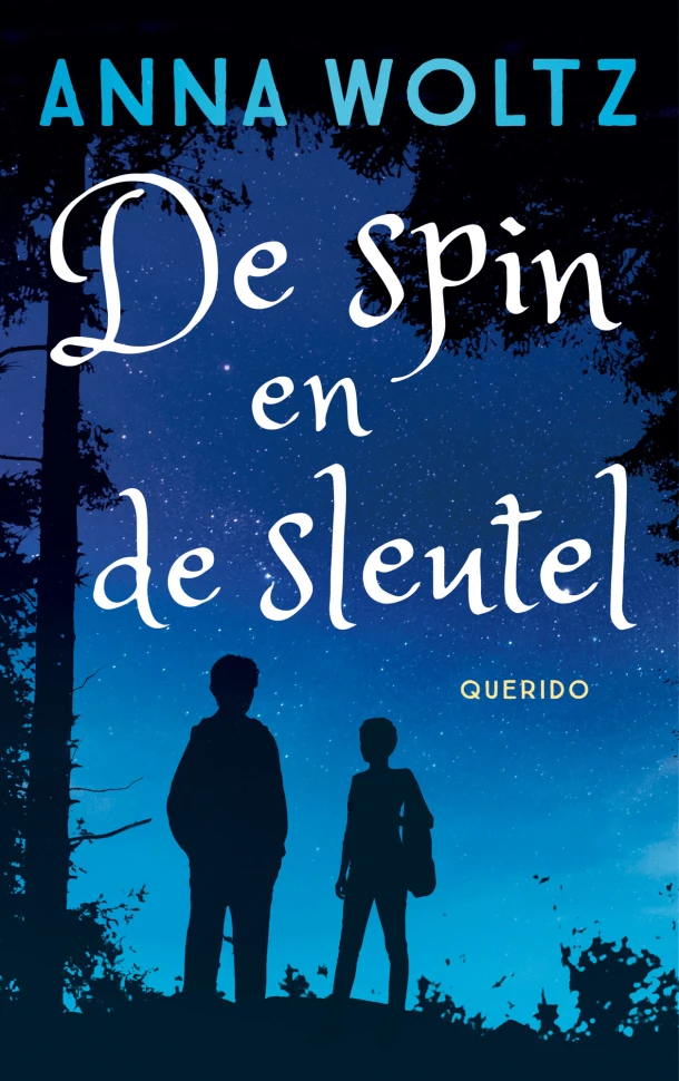 De spin en de sleutel – Anna Woltz – boek cover