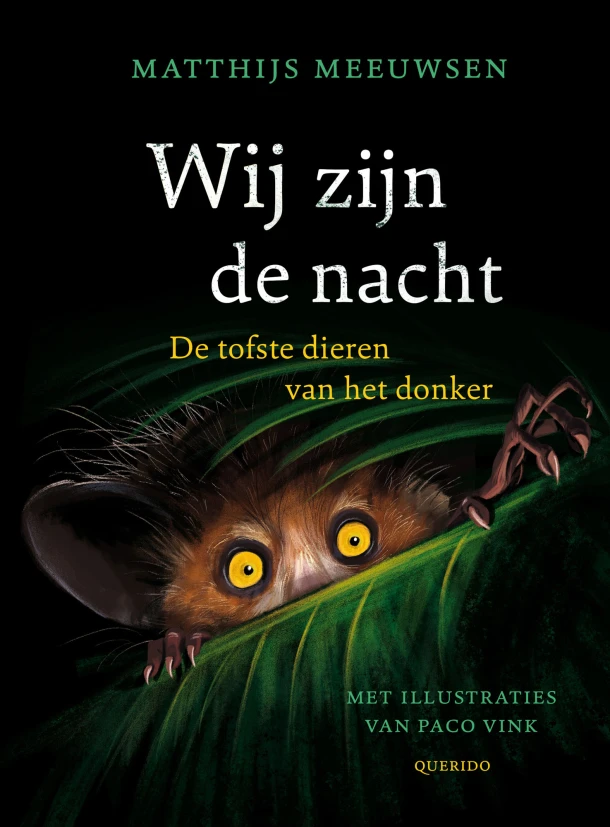 Wij zijn de nacht – Matthijs Meeuwsen – boek cover