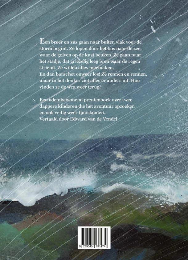 Eilandstorm – Brian Floca – boek cover