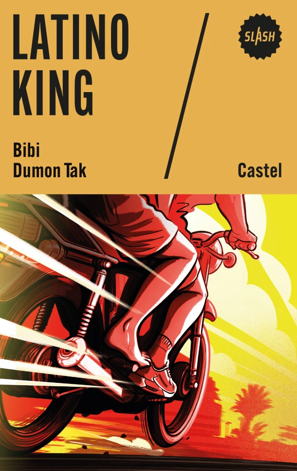 Latino king – Bibi Dumon Tak – boek cover