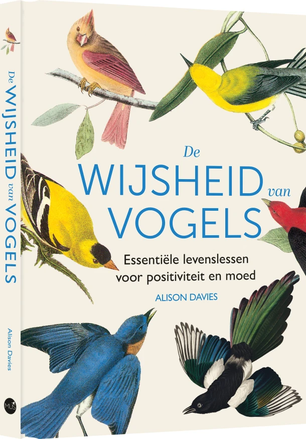 De wijsheid van vogels – Alison Davies – boek cover