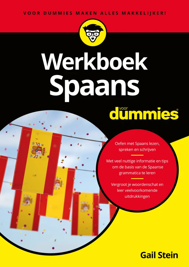 Werkboek Spaans voor Dummies – Gail Stein – boek cover