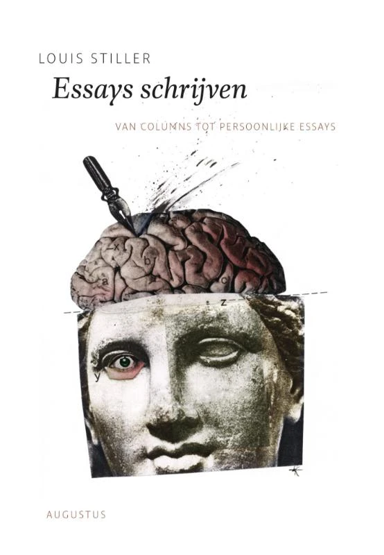 Essays schrijven – Louis Stiller – boek cover