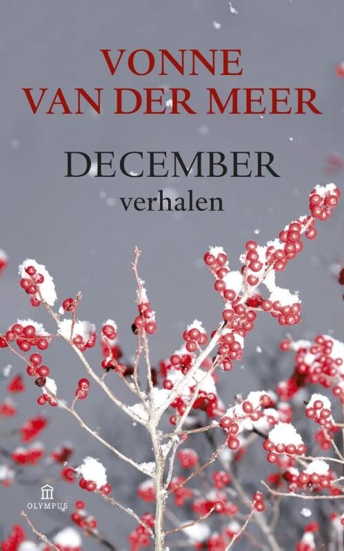 December – Vonne van der Meer – boek cover