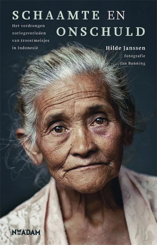 Schaamte en onschuld – Hilde Janssen – boek cover