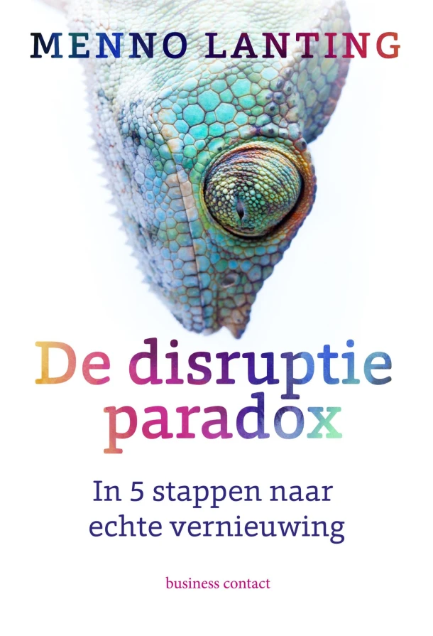 De disruptieparadox – Menno Lanting – boek cover