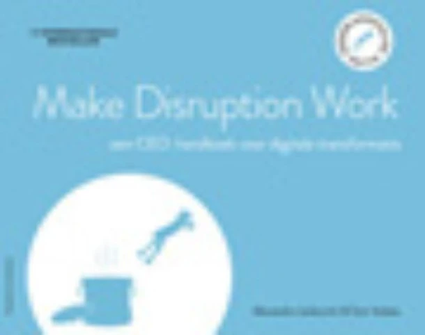 Make Disruption Work – Alexandra Jankovich – boek cover