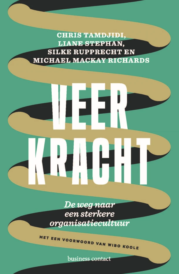 Veerkracht – Chris Tamdjidi – boek cover