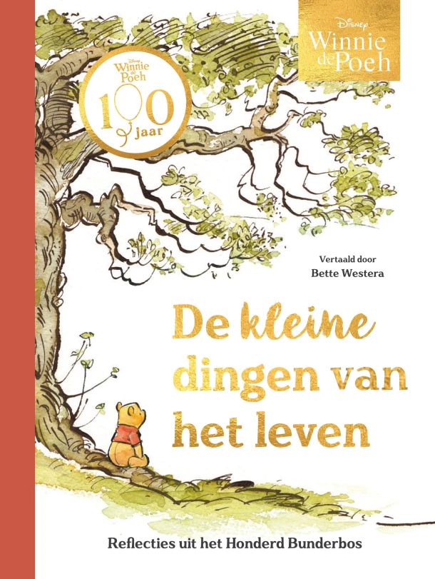 Winnie de Poeh. De kleine dingen van het leven – Disney – boek cover