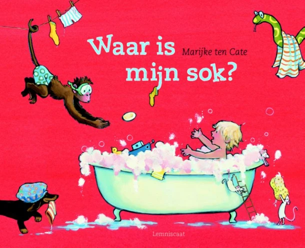 Waar is mijn sok? – Marijke ten Cate – boek cover