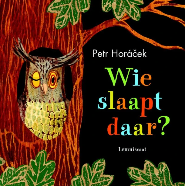 Wie slaapt daar? – Petr Horá?ek – boek cover