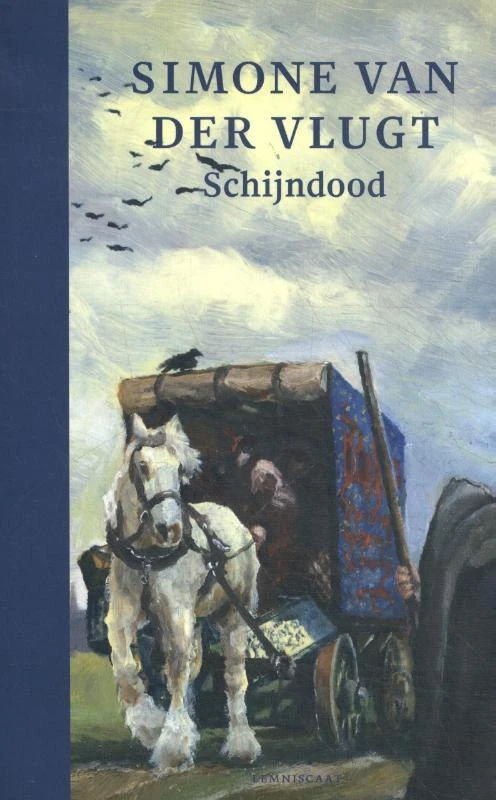Schijndood – boek cover