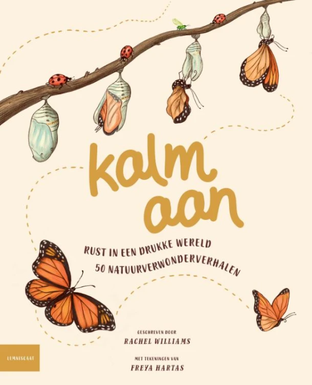 Kalm aan – Rachel Williams – boek cover
