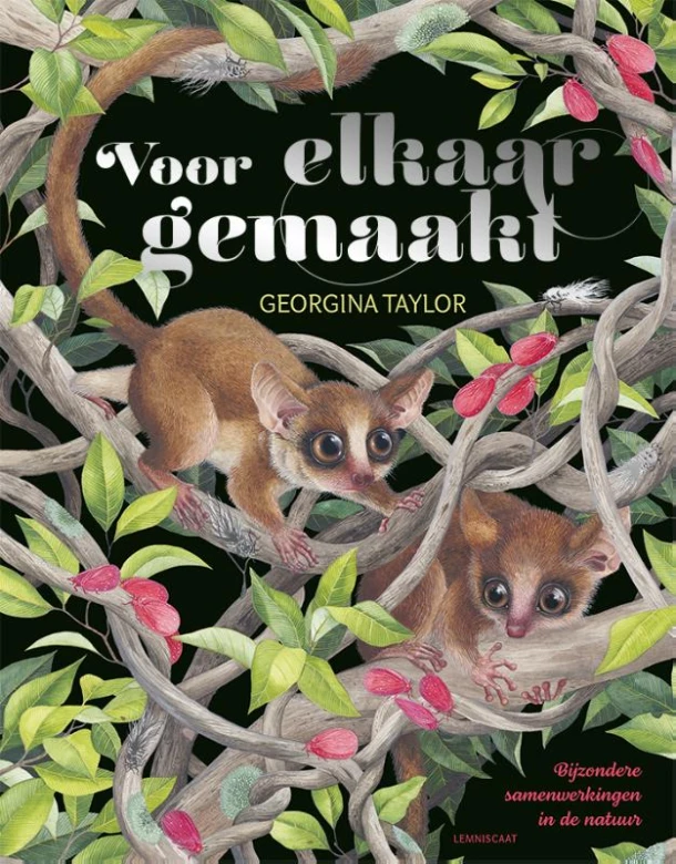 Voor elkaar gemaakt – Georgina Taylor – boek cover