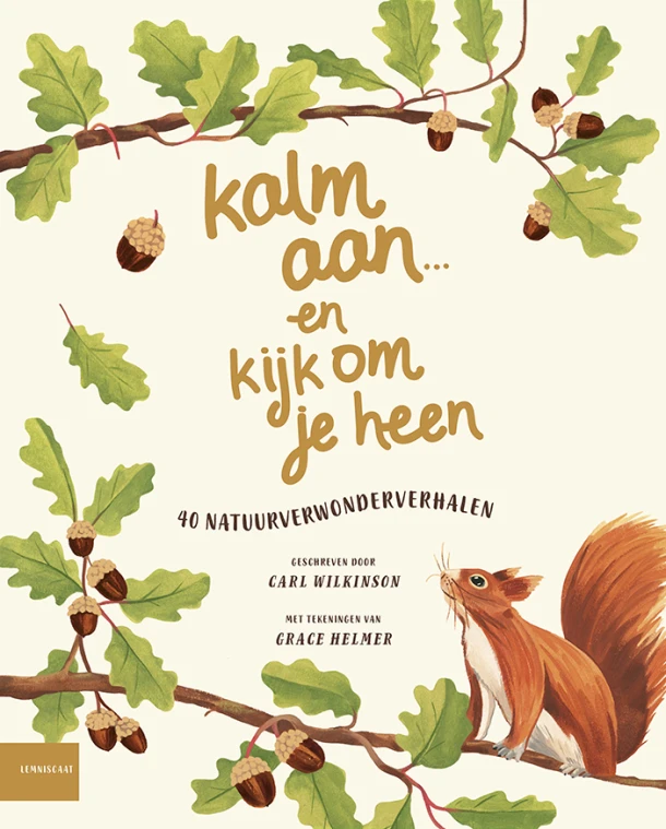 Kalm aan ... en kijk om je heen – Carl Wilkinson – boek cover