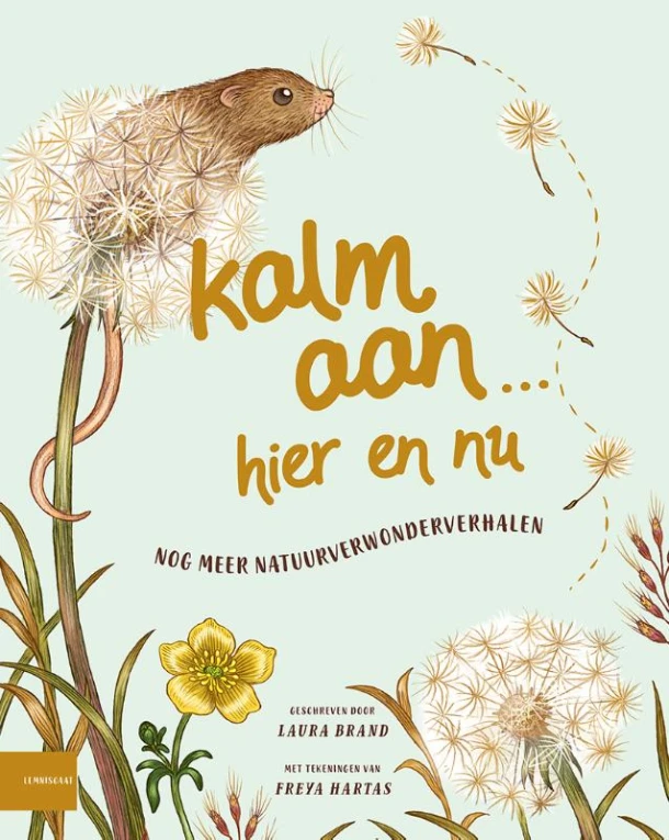 Kalm aan¿ Hier en nu – Laura Brand – boek cover