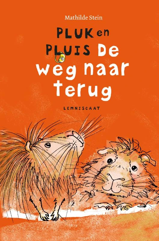 De weg naar terug