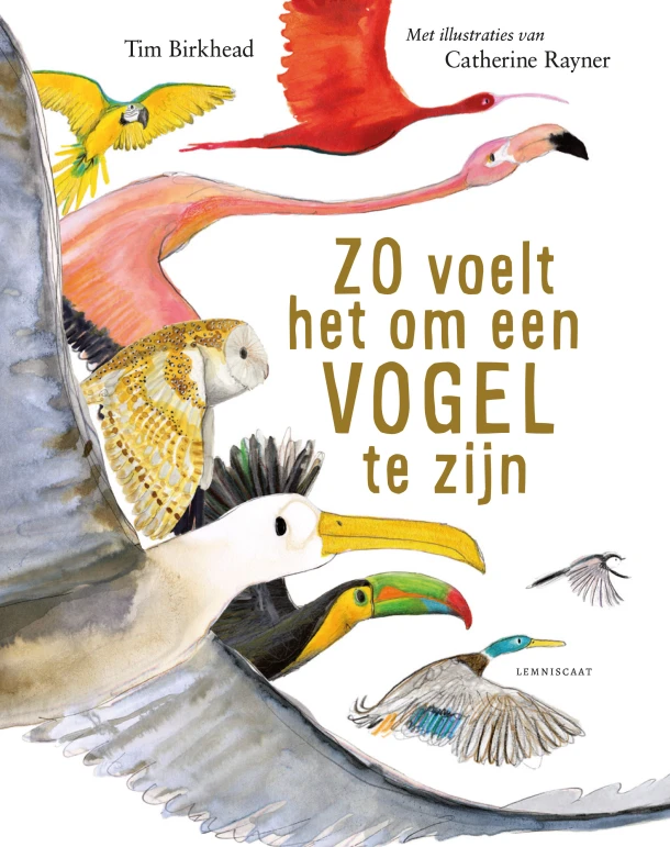 Zo voelt het om een vogel te zijn – Tim Birkhead – boek cover
