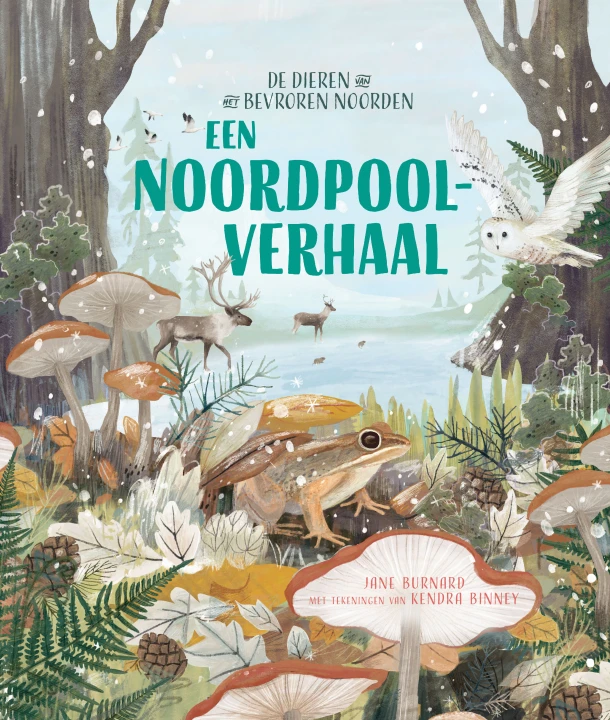 Een Noordpoolverhaal – Jane Burnard – boek cover