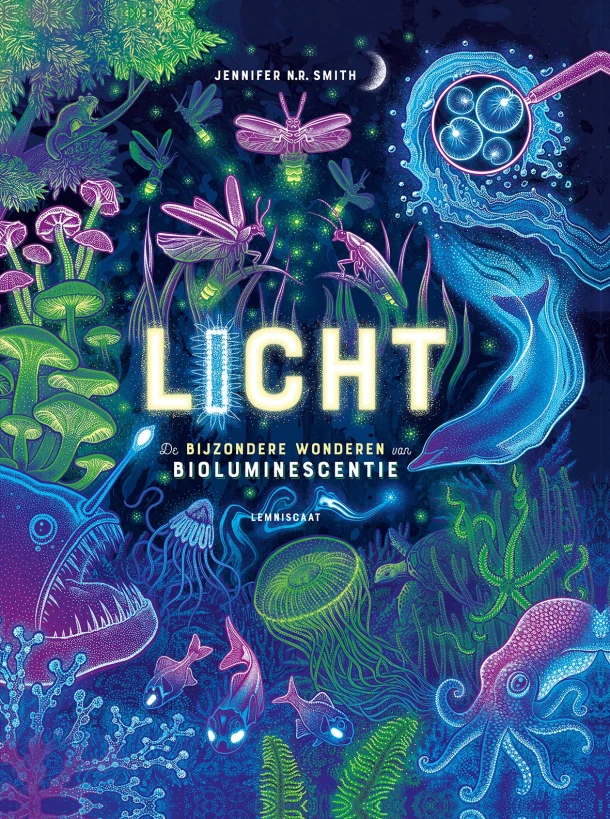 Licht – Jennifer N.R. Smith – boek cover