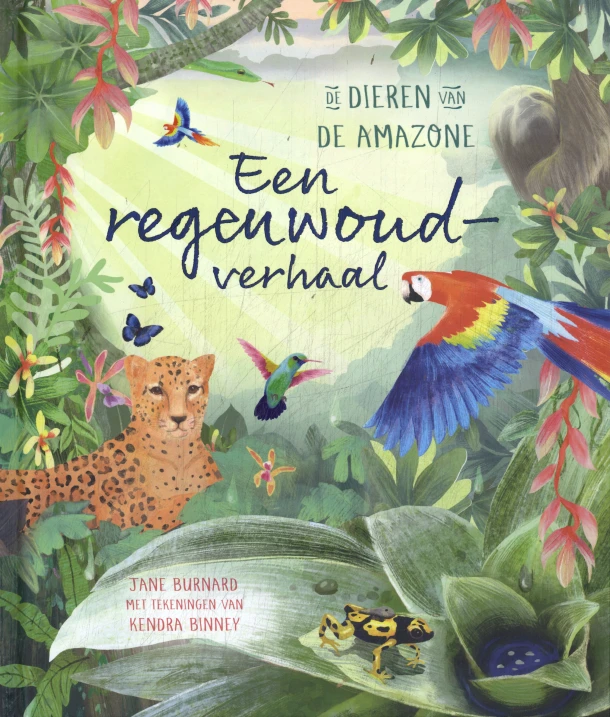 Een regenwoudverhaal – Jane Burnard – boek cover