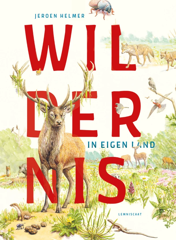 Wildernis in eigen land – Jeroen Helmer – boek cover