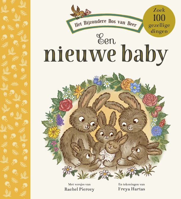 Een nieuwe baby – Rachel Piercey – boek cover