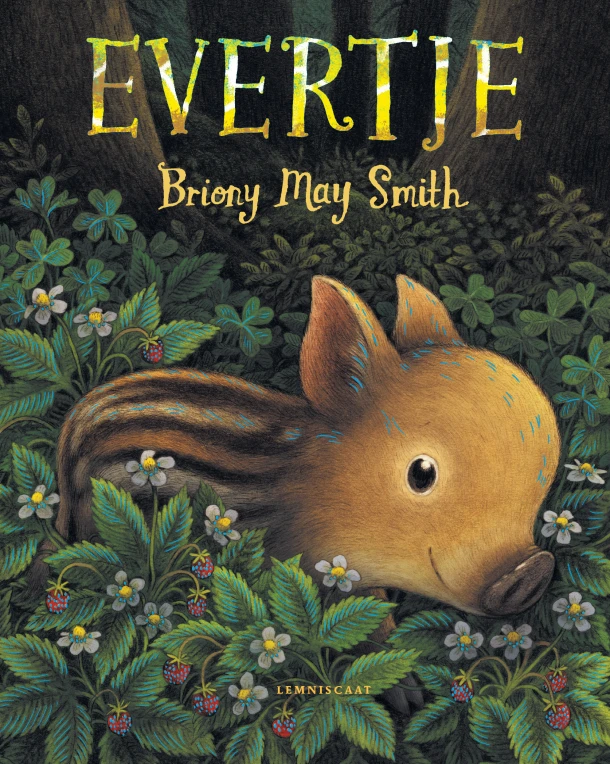 Evertje – Briony May Smith – boek cover