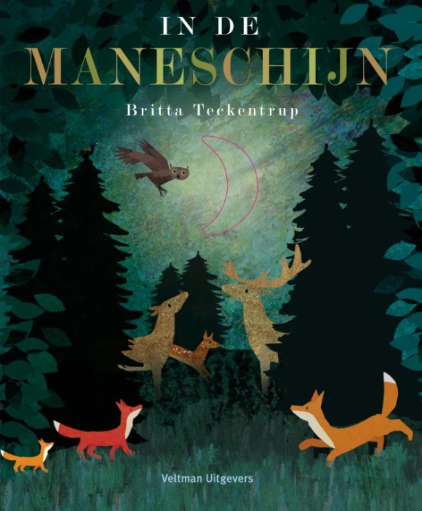 In de maneschijn – Britta Teckentrup – boek cover