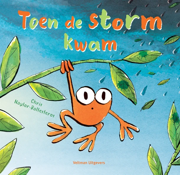 Toen de storm kwam – Chris Naylor-Ballesteros – boek cover