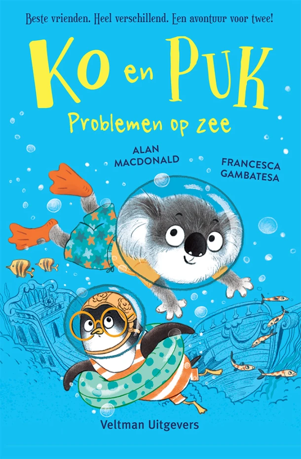 Problemen op zee – Alan MacDonald – boek cover